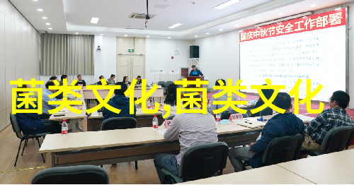 鸡来了唐人街的中国家禽店被包围了