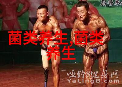 乡镇企业法