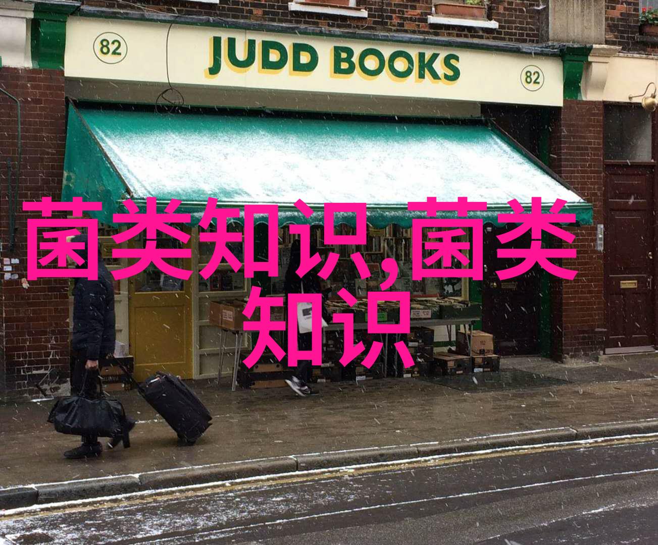 广东东莞攻克人工培育难题 珍稀野生菌实现周年化生产