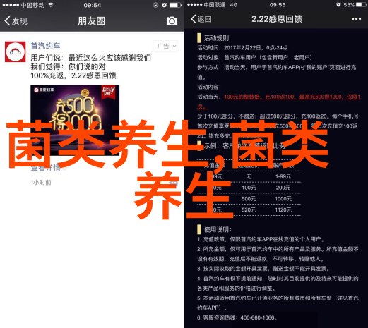 河北平泉引进人才打造食用菌产业创新高地