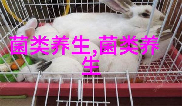外国人养殖(国外宠物养殖)